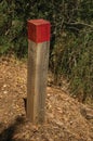 Wooden pole next to a dirt trail to mark the right path