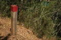 Wooden pole next to a dirt trail to mark the right path