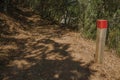 Wooden pole next to a dirt trail to mark the right path