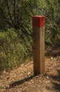 Wooden pole next to a dirt trail to mark the right path