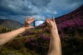 Close-up of smartphone in hands. Unknown woman using a gadget takes photos of a mountain slope covered with pink flowers.