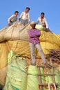 CHITTORGARH, RAJASTHAN, INDIA - DECEMBER 13, 2017: Close-up on smiling farmers loading corn stover on a truck in the countryside a