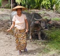 Close up smiling woman in conical hat with water buffalo rural Myanmar
