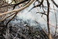 Close up of Smoke and ashes from burning forests
