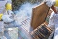 Close-up of a smoker using smoke to tranquilize bees from a honeycomb or hive during honey collection Royalty Free Stock Photo