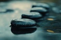 Close-up of smooth black river stones on a wet reflective surface with soft lighting and deep contrast creating a Royalty Free Stock Photo