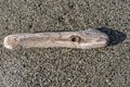 Close up of a smooth piece of driftwood on Gold Bluffs Beach at Prairie Creek Redwoods State Park, California, USA