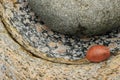 Close-up of a smooth reddish rock against other coloured textured rocks