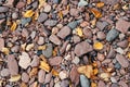 Close up of smooth rocks on Lake Superior in Minnesota, with orange fall leaves Royalty Free Stock Photo