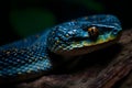 close up of a snake. Generative AI