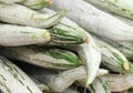 Close up snake gourd in the market. Shallow depth of field