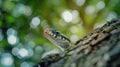 Vibrant Green Tree Snake in Lush Forest Habitat Royalty Free Stock Photo