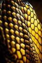 Close up of snake skin pattern on cell phone case that is yellow and black. Generative AI Royalty Free Stock Photo