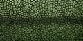 Close-up Snake Skin Pattern. Tropical Lizard, Reptile Natural Green Textured Background. Generative AI Royalty Free Stock Photo