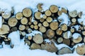 Close up of snow covered trees and logs Royalty Free Stock Photo
