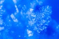 Close up of snow crystals illuminated by blue sunlight. Winter background. Macro of real snowflake: large stellar Royalty Free Stock Photo