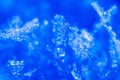 Close up of snow crystals illuminated by blue sunlight. Winter background. Macro of real snowflake: large stellar