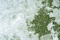 Close up snow on the grass texture for background Royalty Free Stock Photo
