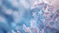 Close-up of a snowflake with blurry background Royalty Free Stock Photo