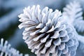 close-up of a snowflake-covered pine cone in winter Royalty Free Stock Photo