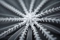 Close-up of a snowflake on a dark feather