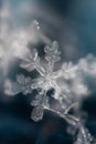Macro Shot of Frozen Snowflake 2