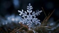 A close-up of a snowflake landing on a pine needle