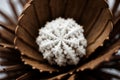 Close-up of a snowflake on a pine cone Royalty Free Stock Photo