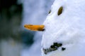 Snowman face close-uo Royalty Free Stock Photo