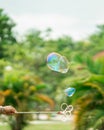 Close up Soap bubbles floating in the garden park. Selective focus Royalty Free Stock Photo