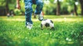 Close-up of a soccer ball with a childs foot ready to strike in the park. Royalty Free Stock Photo