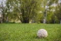 close up soccer ball grass. High quality photo Royalty Free Stock Photo