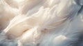 Close up of soft, fluffy feathers illuminated by natural light in a delicate display Royalty Free Stock Photo