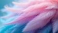 Close up of soft fluffy pastel pink and blue feathers with bokeh background Royalty Free Stock Photo