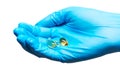 Close up of soft gel capsules with golden color oil supplements on female doctor's hand in blue sterilized surgical glove