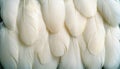 Close-up of soft white feathers creating a serene and chaotic background texture