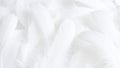 Close-up of soft white feathers, delicate texture, background pattern. Royalty Free Stock Photo