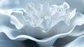 Close-Up of Soft White Flower Petals with Smooth Texture Royalty Free Stock Photo