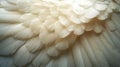 Close-Up of Soft White and Gold Feathers with Light Texture Royalty Free Stock Photo