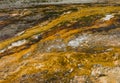 Close up of soil around geyser