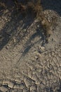 Close-up of the soil in the Bardenas Reales, desert in Navarra, Spain.