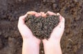 Close-up Soil in child hands holding Royalty Free Stock Photo