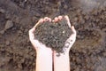 Close-up Soil in child hands holding Royalty Free Stock Photo