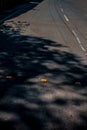 Close up of solar lights fixed on the roads to indicate direction or a reflector of yellow color. Royalty Free Stock Photo