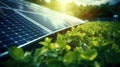 Close up of solar panels, photovoltaic, alternative electricity source. Concept of renewable and clean energy, sustainable Royalty Free Stock Photo