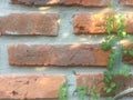 exposed brick wall of and old building Royalty Free Stock Photo