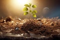 close-up of solitary sprout on dry ground in warm light behind a setting sun. Global warming concep Royalty Free Stock Photo