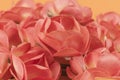 Close up of some artificial orange flowers on plain background Royalty Free Stock Photo