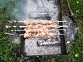 Close up of some grilled meat skewers in a barbecue standing on the grass