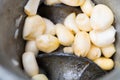 A close up of some kernels getting ready to be milled Royalty Free Stock Photo